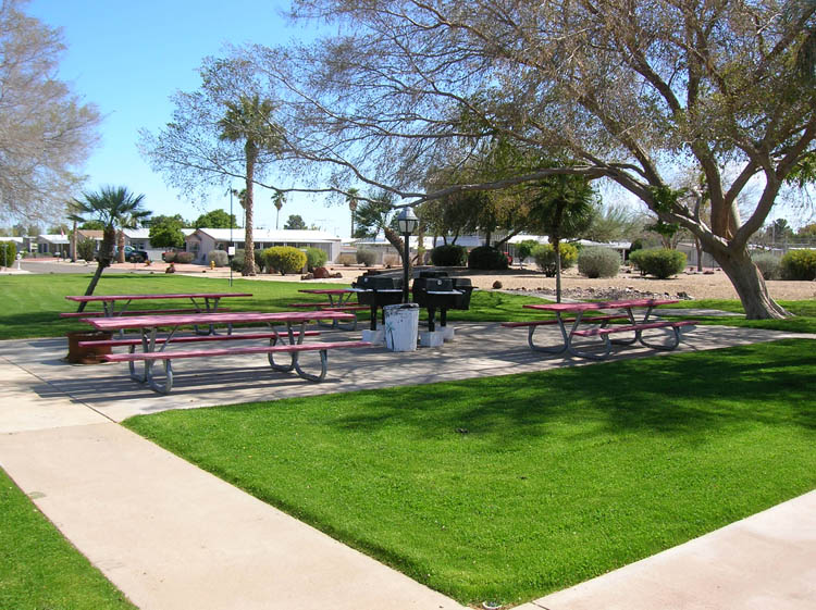 to Palm Lakes Village, Arizona amenities Picnic Area With